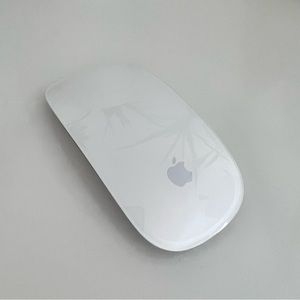 Apple Magic Mouse - 1st Gen